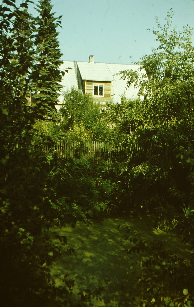 Pine (Rauba) in Jeedaskülas near Vastseliina, summer 1987.
