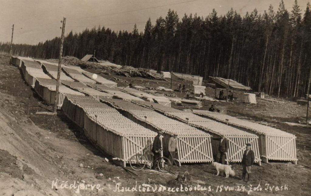 Kiidjärve railway reserve. Industry in 1929
