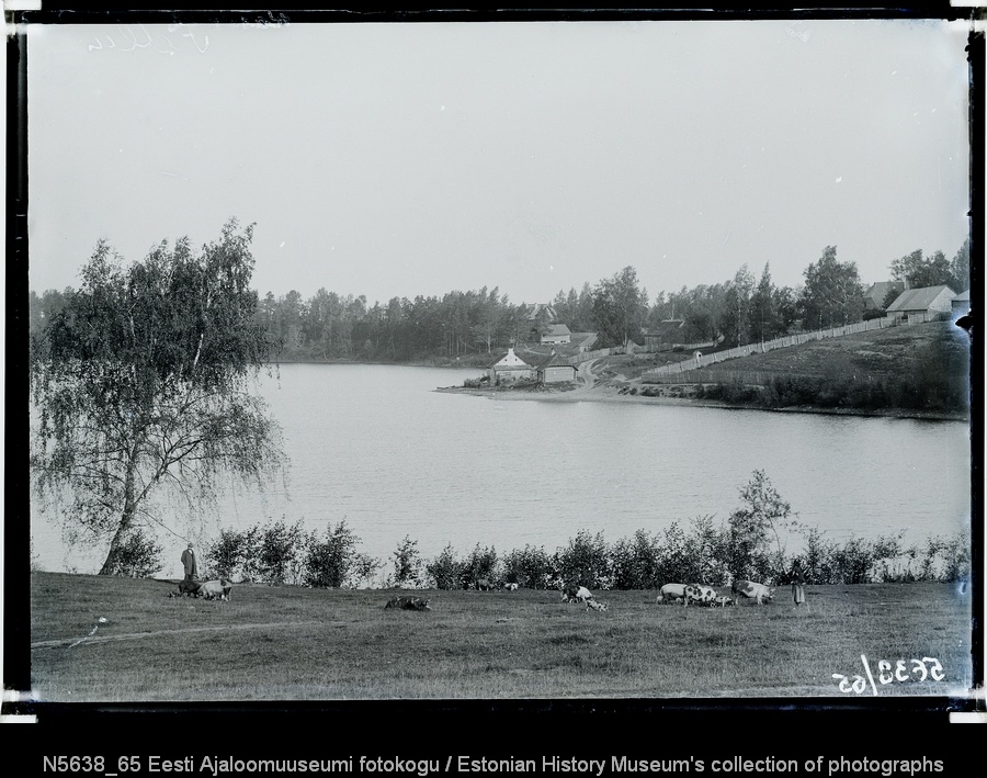 Taluhoonestik järve kaldal Viljandimaal