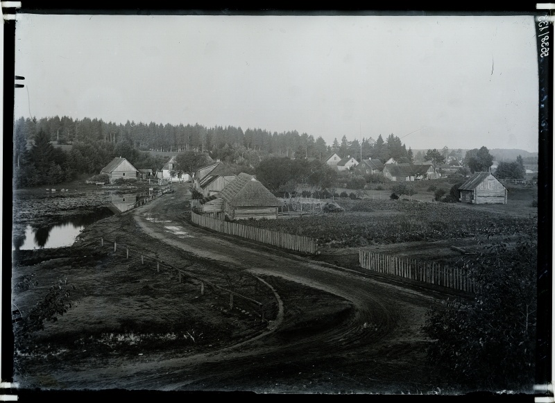 Tuhalane Landscape