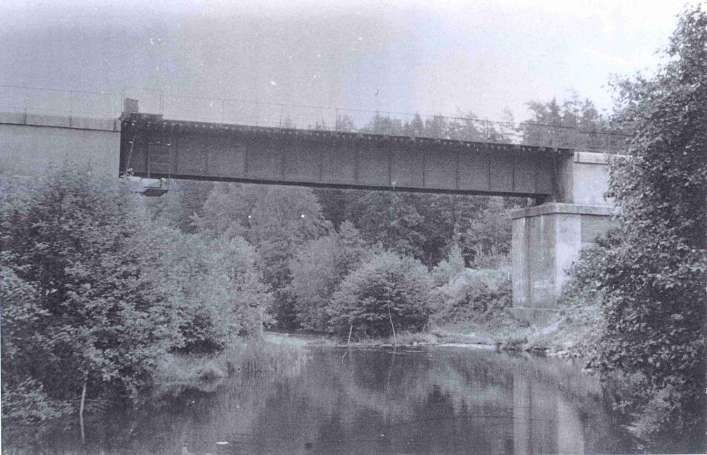 Photo Tartu-Petzer railway bridge in Valgemetsa