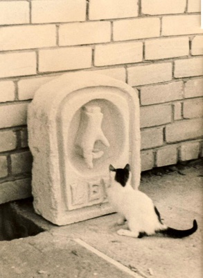 EÜE 1971 Leie rühm  similar photo