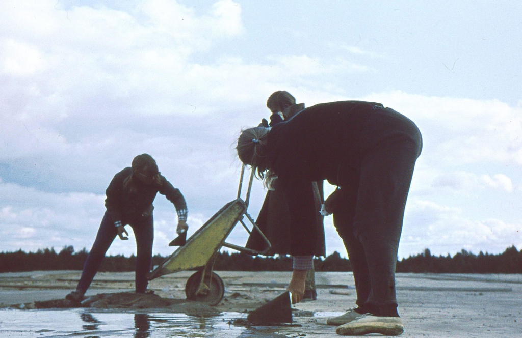 EÜE 1971 Leie rühm