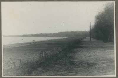 Tallinn, uus hekk mererannal.  duplicate photo