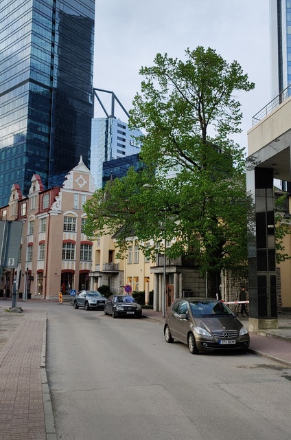 Maakri Street in Tallinn rephoto