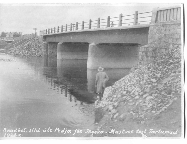 Photo Jõgeva reinforced concrete bridge in Tartumaa