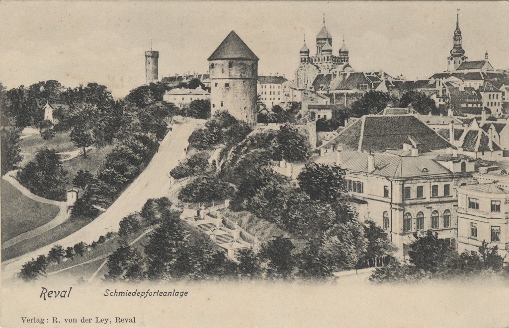 Reval : Schmied Forestry