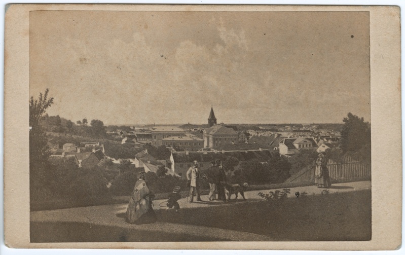 Fotorepro Louis Höflingeri litograafiast. Vaade Tartule Toomelt