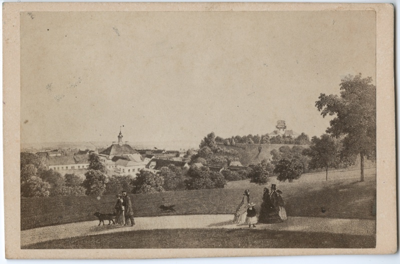 Fotorepro Louis Höflingeri litograafiast 	Vaade Toomelt