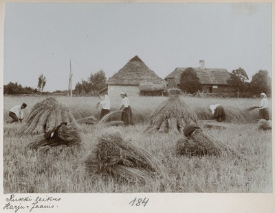 Foto albumis  duplicate photo