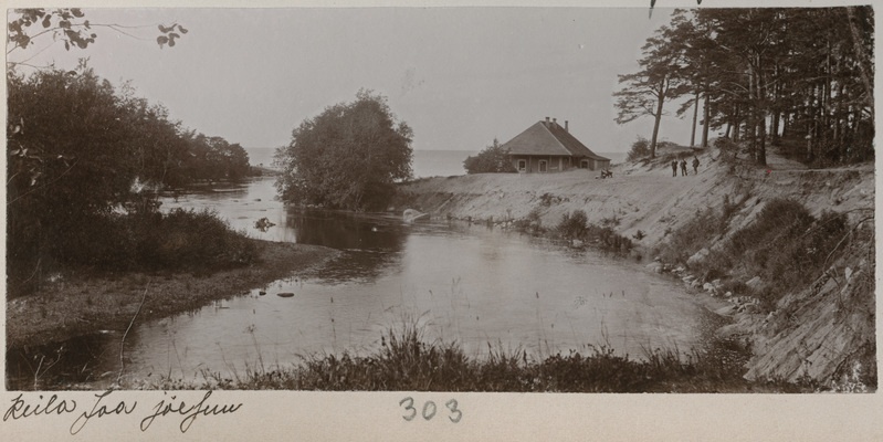 Foto albumis