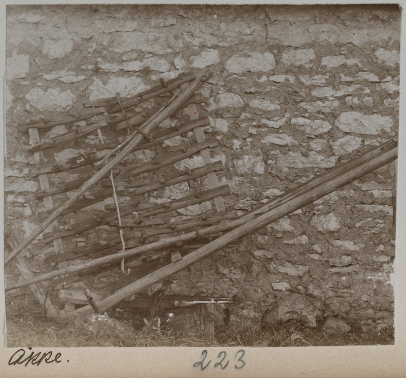 Foto albumis