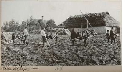 Foto albumis  duplicate photo