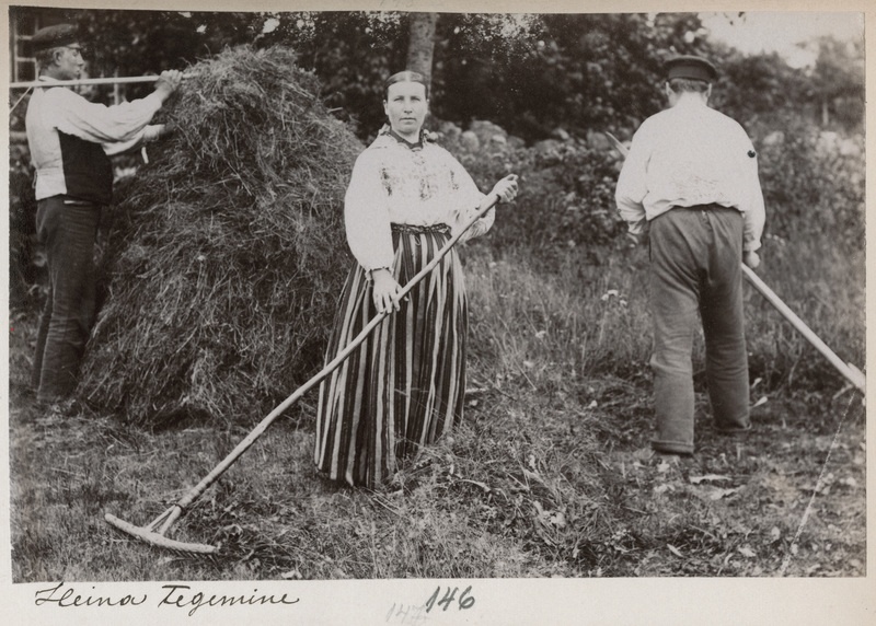 Foto albumis