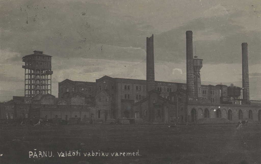 Ruins of the Pärnu Valdofi factory