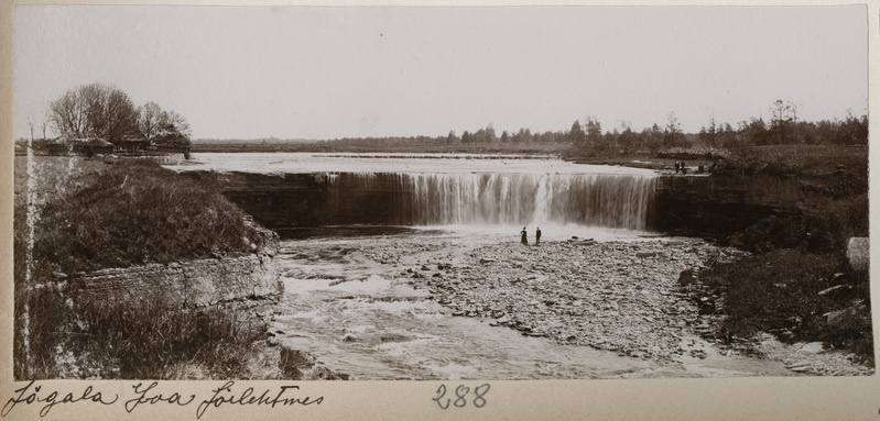 Foto albumis