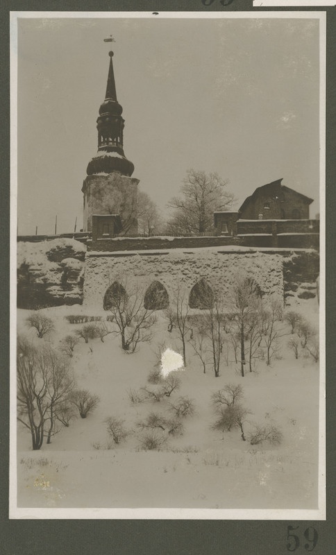 Tallinn. Vaade Toompeale ja Tallinna toomkirikule Snelli pargist.