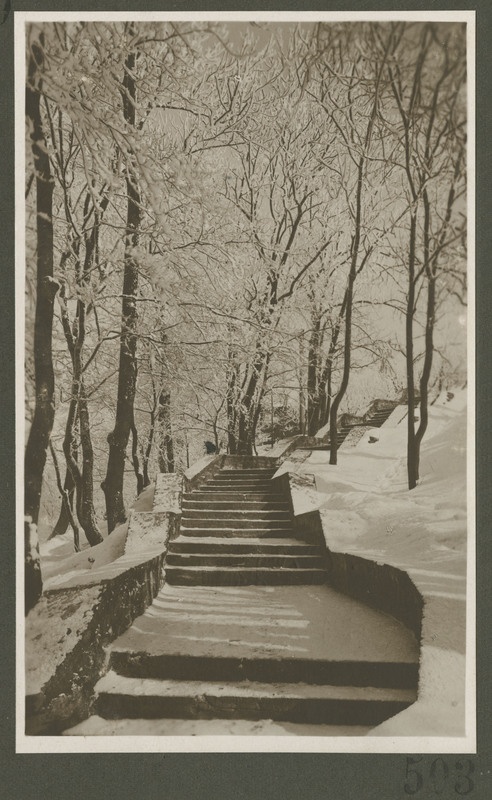 Tallinn. Kadriorg. Katariina trepp.