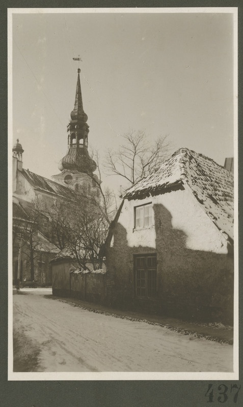 Tallinn. Vaade Tallinna toomkirikule edelast.
