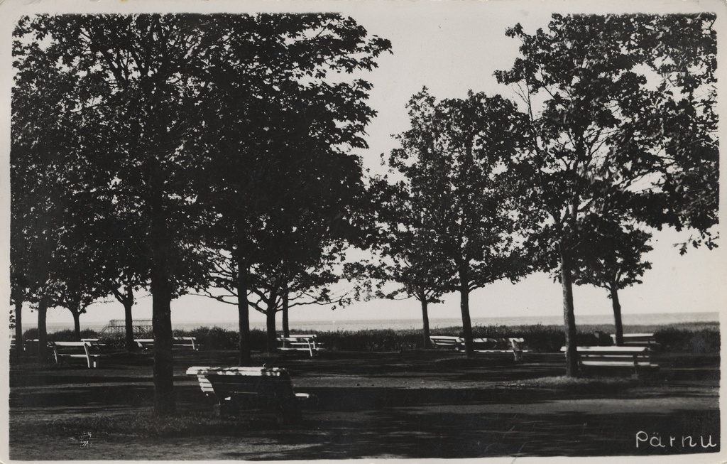 Pärnu