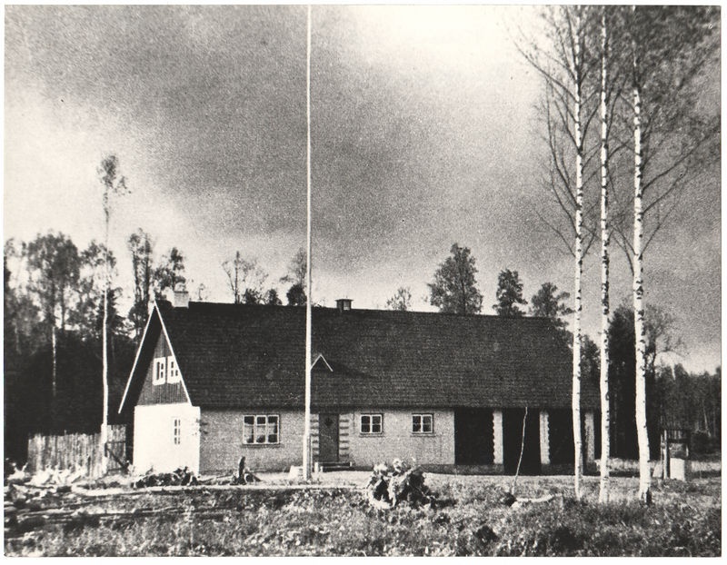 Pillapalu uudisasundus