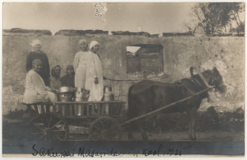 Saku kodumajanduskooli õpilased tulevad lehmi lüpsmast