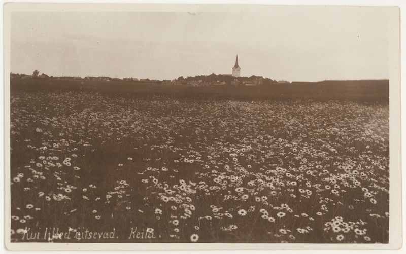 Keila vaade
