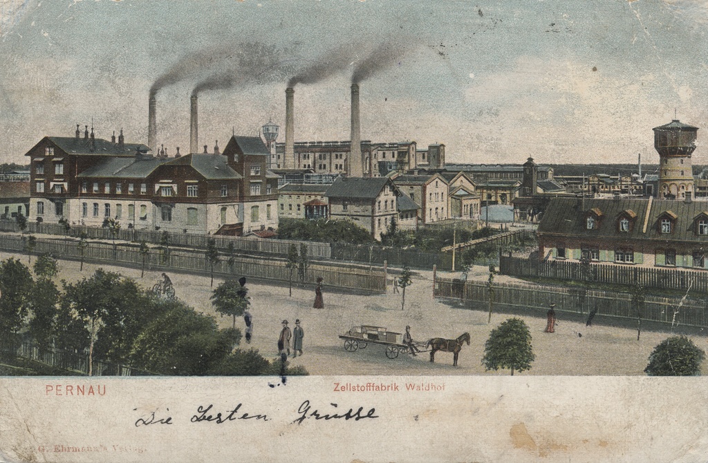 Pernau : Celluum Factory Forestry