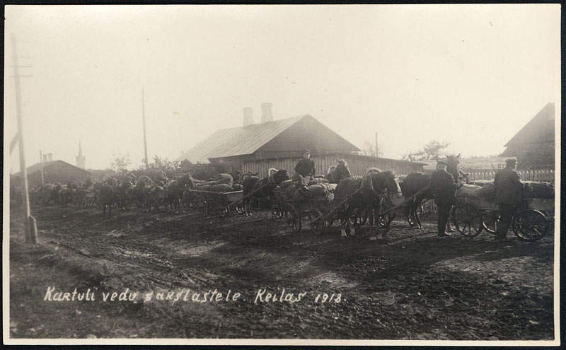 Potatoes for Germans in Keila
