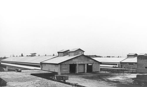Tihemetsaasovhoostehnikaii8600kohagaaga milk farm