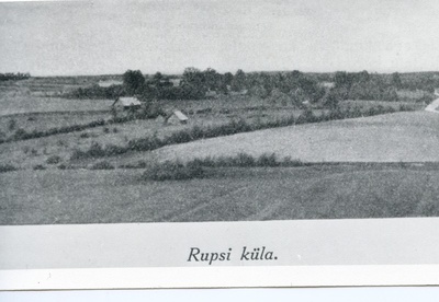 Rupsi küla, Liivide kodukoht  duplicate photo