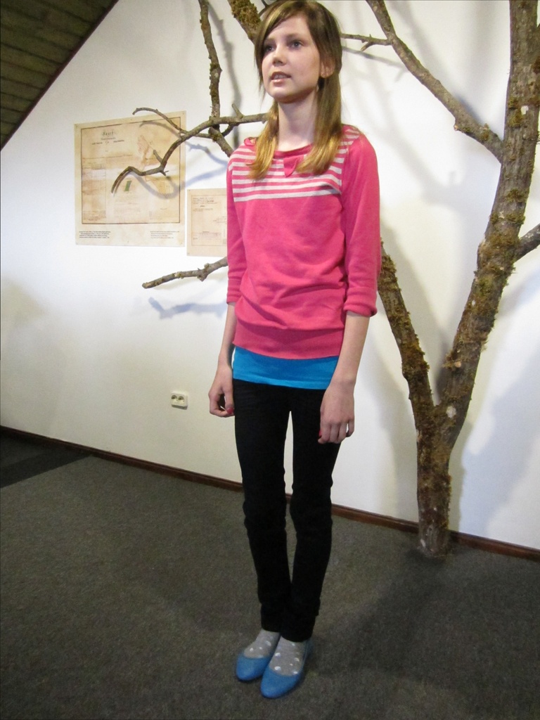 Etlus 2013 lõppvoor