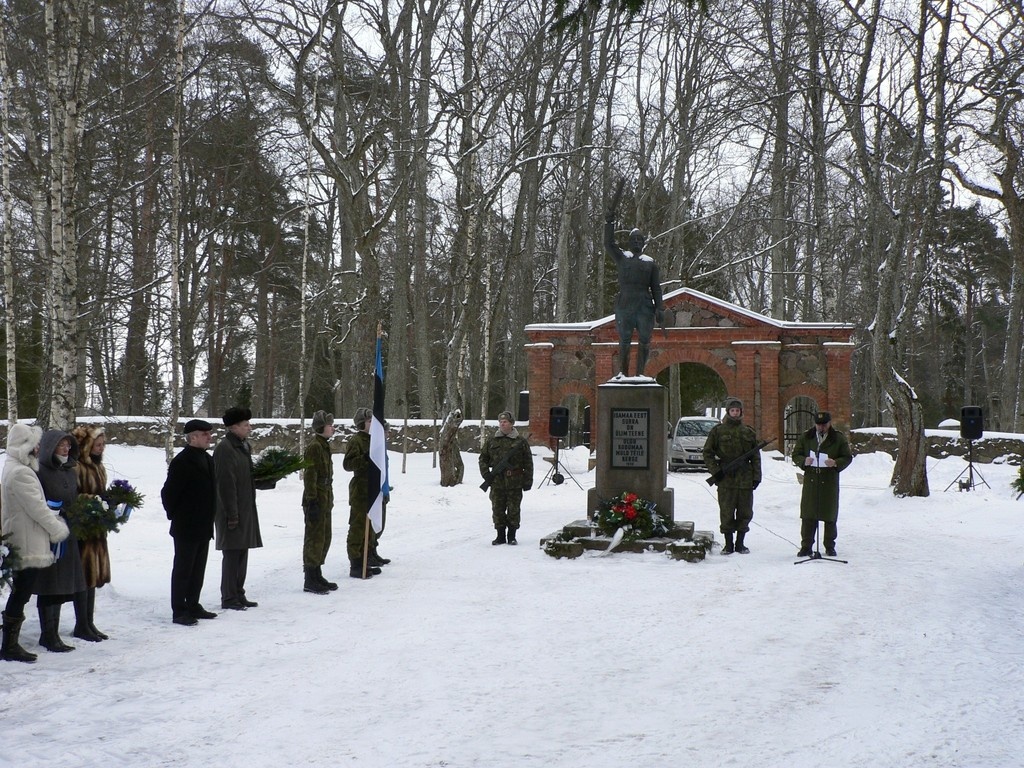 Vabariigi aastapäeva miiting