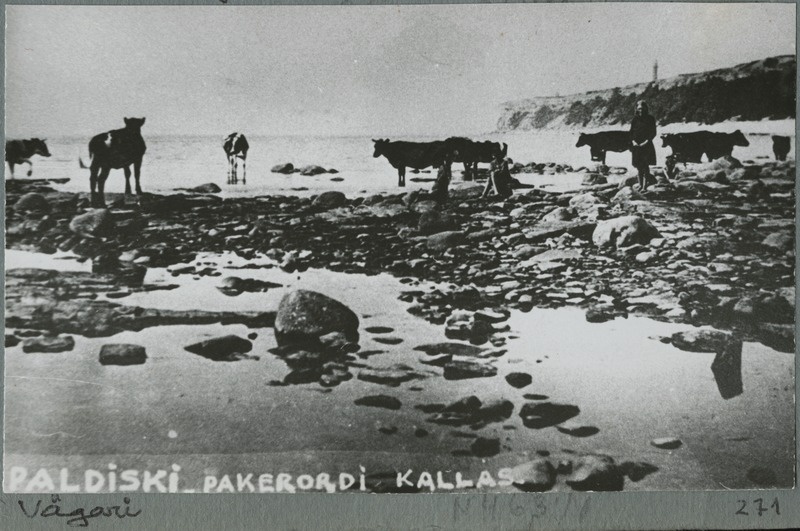 Foto albumis