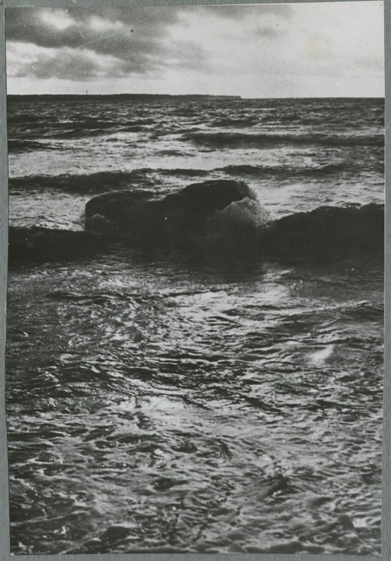 Foto albumis