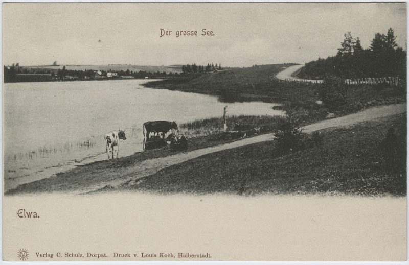 Elva, Verevi järv