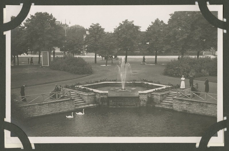 Vaade, Tallinn. Vaade Snelli pargile, tiigile ja purskkaevule. Fotol näha Snelli pargis jalutavaid inimesi ja tiigis ujuvaid luikesid. Taga puude vahelt paistab kuivkäimla.