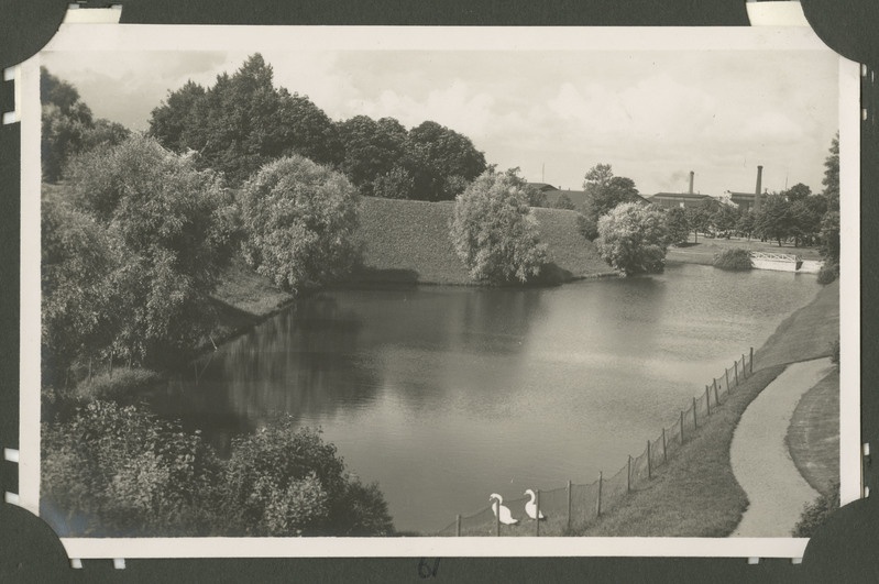 Vaade, Tallinn. Vaade Snelli pargi tiigile, mille ääres näha istumas kahte luike.