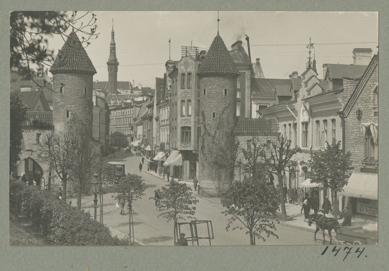 Viru väravad, Tallinna vanalinn