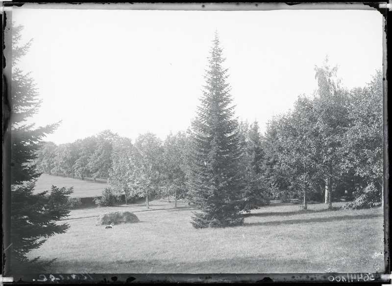 Rõuge mõisa park