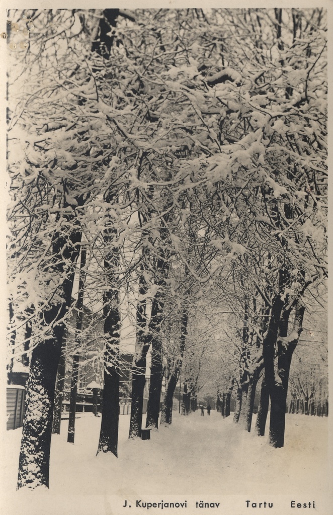 Tartu Estonia : J. Kuperjanov Street