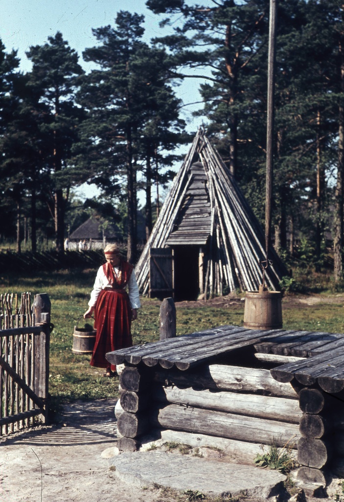 Köstriaseme talu õu, kaev, suveköök, H. Boitsova