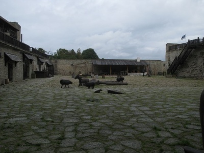 Narva linnus  duplicate photo