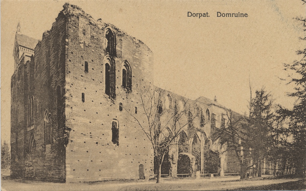 Dorpat : Domruine