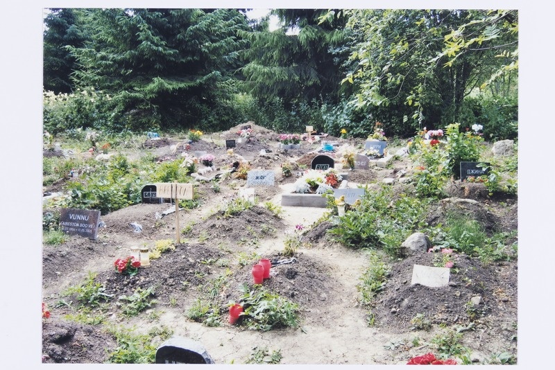 Lemmikloomade kalmistu Võerdla külas