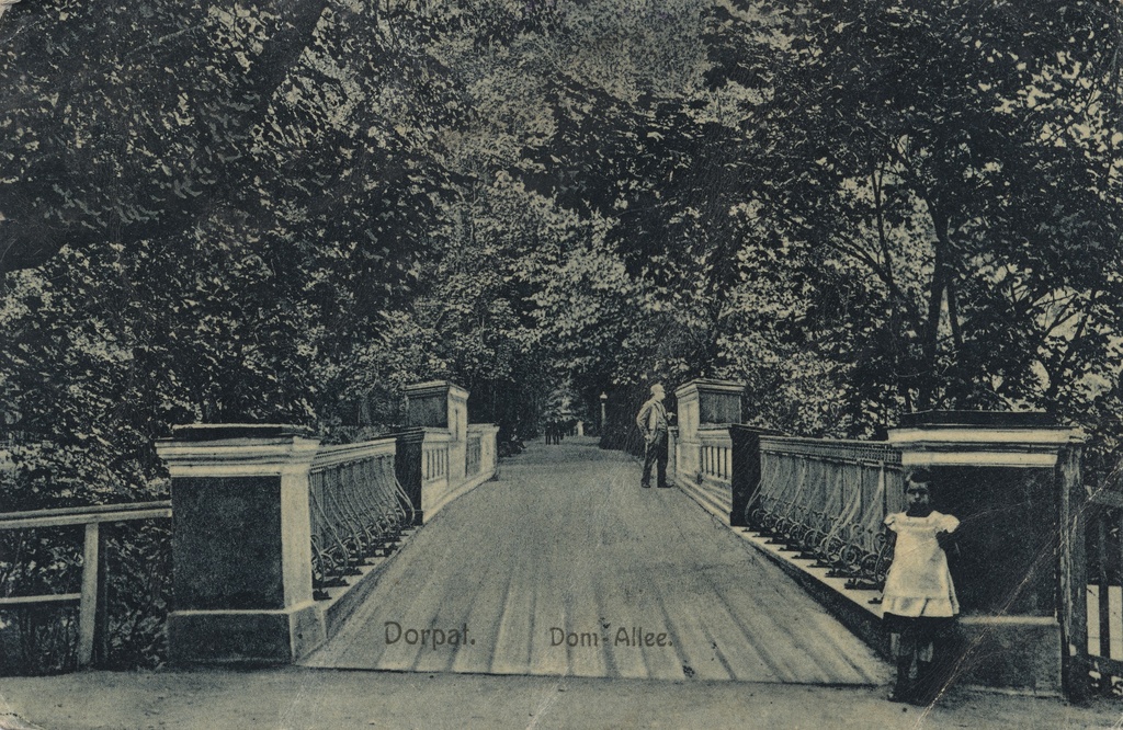 Dorpat : Dom-Allee