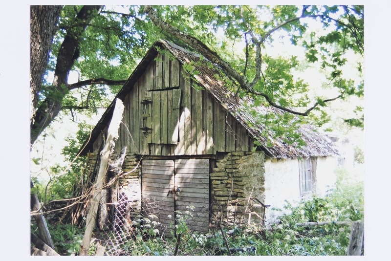 Tõnu talu sepikoda Koila külas