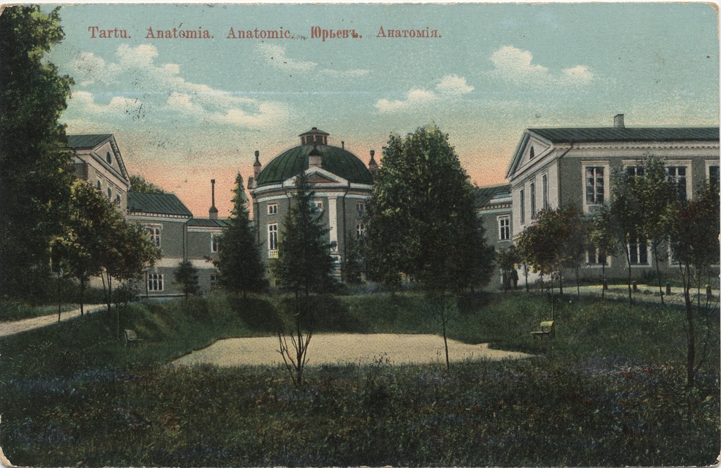 Tartu : Anatomy = Anatomic = Jurjevъ : Anatomy