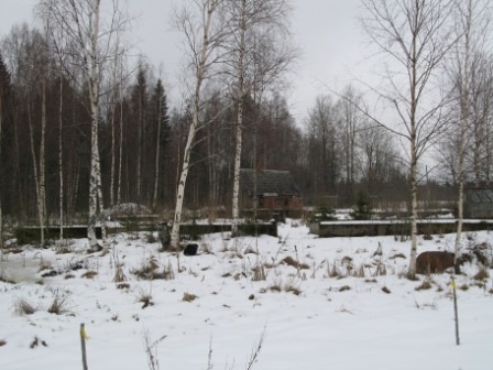 Metsküla, Kõrve talu