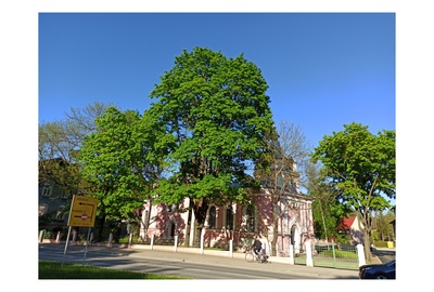 Tartu, Church of Jüri rephoto
